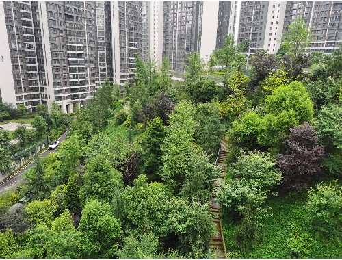 博鱼boyu体育官方平台：天长城市绿化带护栏