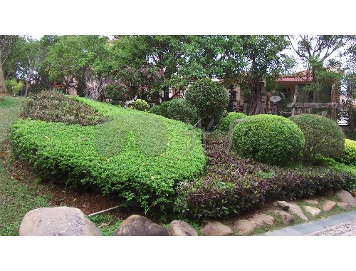 博鱼boyu官方网站：小区绿化工程管理条例